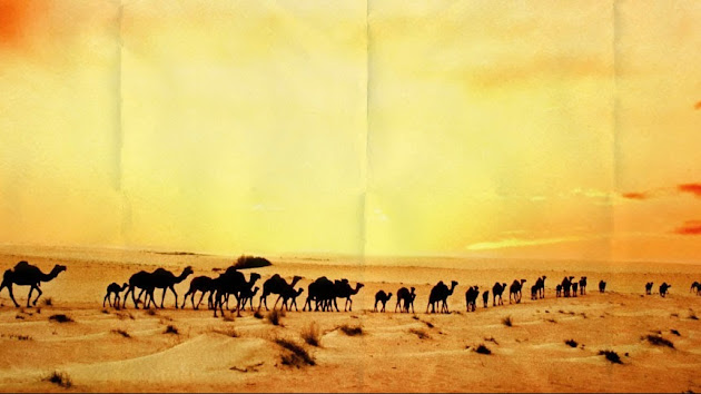 Cover photo