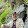 Rob MacLuan Rob MacLuan's profile photo