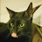 Justin Anderson avatar image