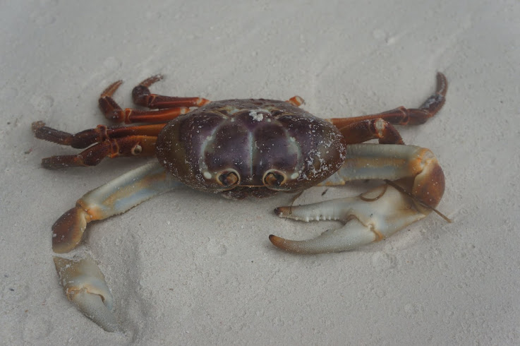 Китай, Вьетнам, Камбоджа и Тайланд на Новый Год 2013