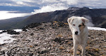 on Cerro Bandera with my companion