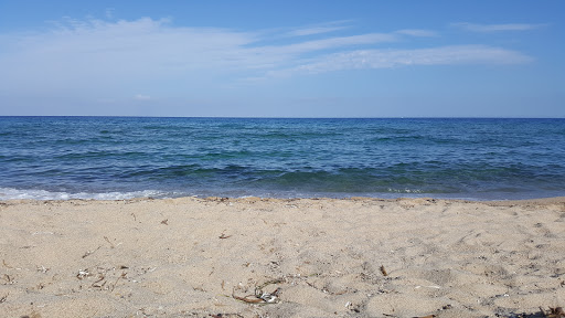 Le Galion
