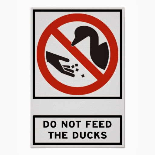 do_not_feed_the_ducks_highway_sign_poste