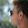 Koen Dil Koen Dil's profile photo