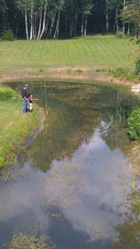 photo of Stirneles viensedis, kaimo turizmo sodyba