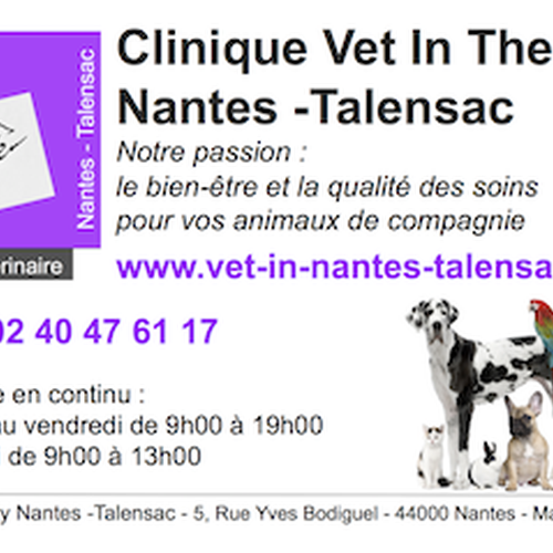 Clinique Vétérinaire - Vet in the City logo