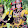 novi novel novi novel's profile photo