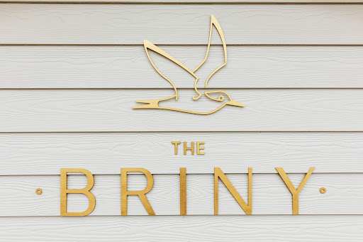 The Briny logo