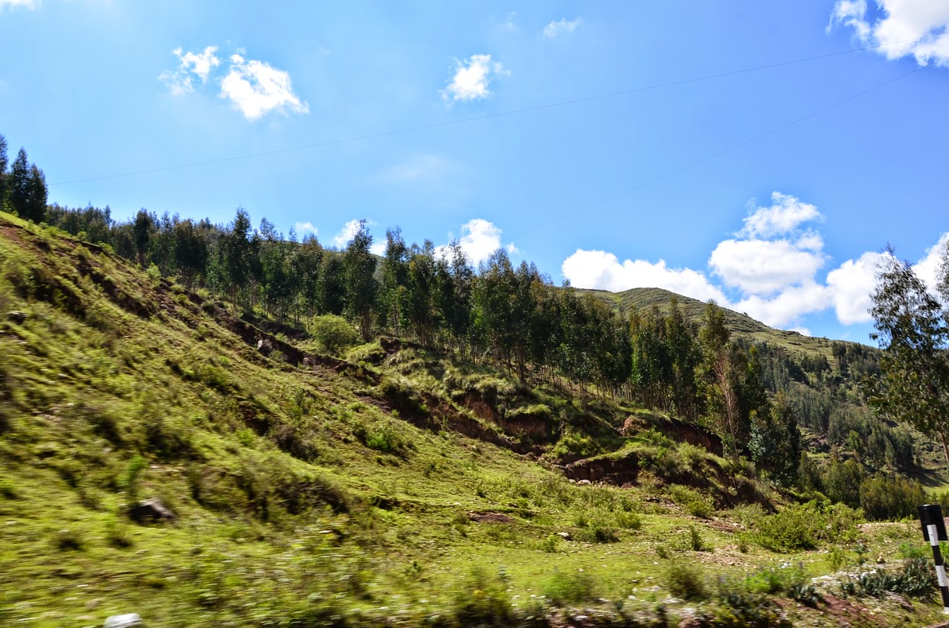 DSC_4204.JPG