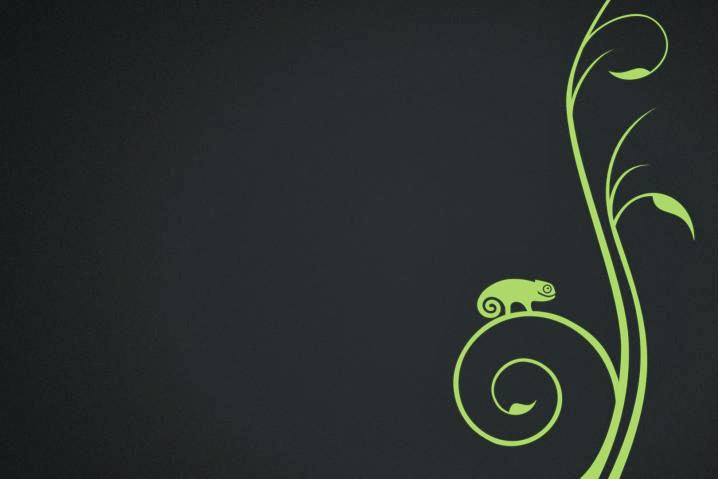 openSUSE 13.1: placer adulto
