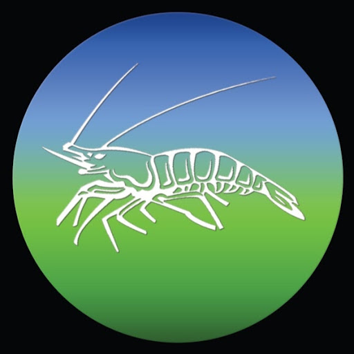Aquarillus logo