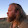 Spencer C Spencer C's profile photo