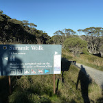 Summit Walk track head (265367)