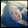 Jeannette Chai Jeannette Chai's profile photo
