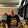 Lucas Rose Lucas Rose's profile photo