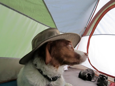Torrey goofing around in the tent on Saturday morning