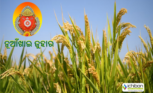 ICHIBAN Crop Science - Odisha, Plot no. 1294, Near Punjab National Bank, Cuttack Bhubneshwar Highway, NH-5, Gopalpur, Cuttack, Odisha 753011, India, Agrochemicals_Supplier, state OD
