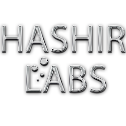 Hashir Labs Avatar