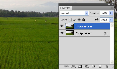 Mengedit Jepretan Foto Dengan Photoshop