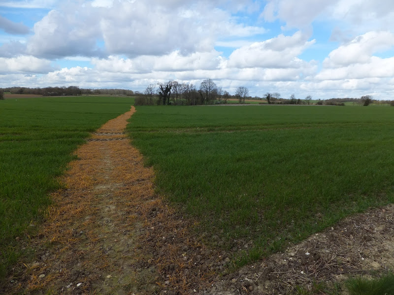 Broad footpath marked out across the fields to Saxmundham