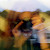 Reviewer Profile Image