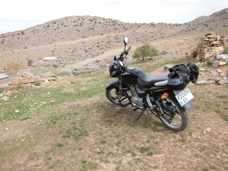 CIMG0871.JPG
