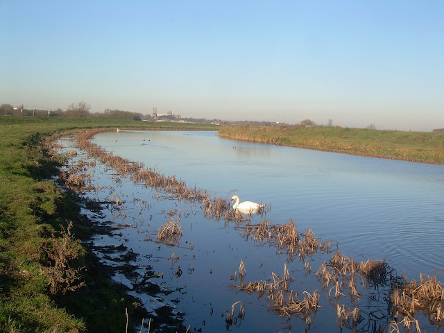 Ely Cathedral in the distance from the Great Ouse