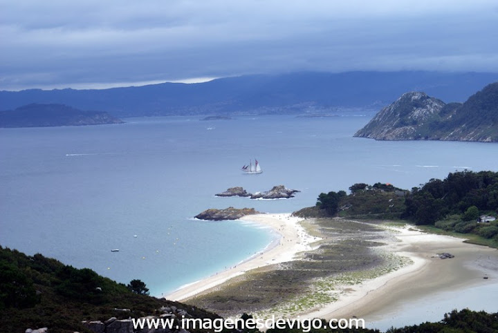 Cies Cies