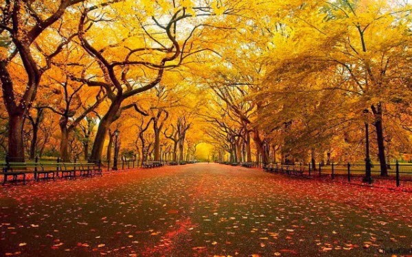 Los mejores paisajes del otoño