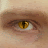 Geoff Sdfgeoff avatar image