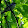Arthur Besnard Arthur Besnard's profile photo