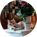 Image Google de Maria Etchevers