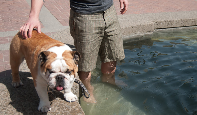 Betabrand Shorts: Cooling off in the fountain