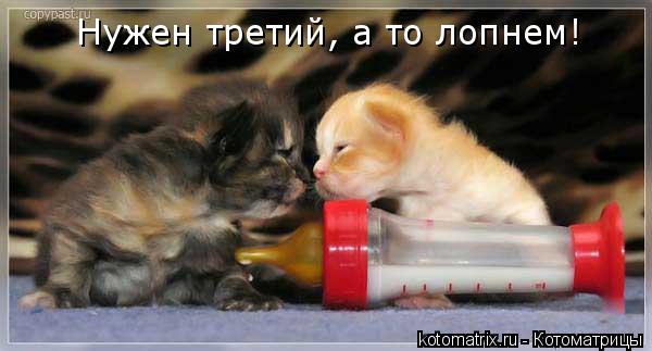 Ни дня без улыбки. Подари мне солнце… Ни дня без улыбки. Подари мне солнце…