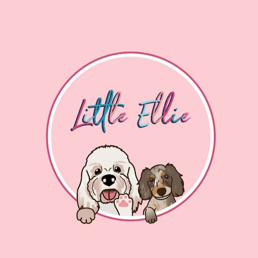 Little Ellie Boutique