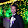 Merwyn Fernandes Merwyn Fernandes's profile photo