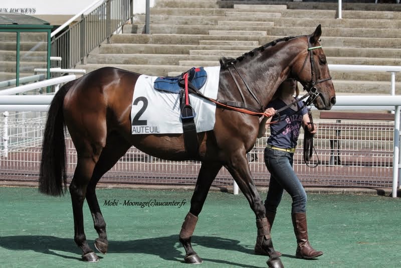 Photos Auteuil 22-05-2015 IMG_0895