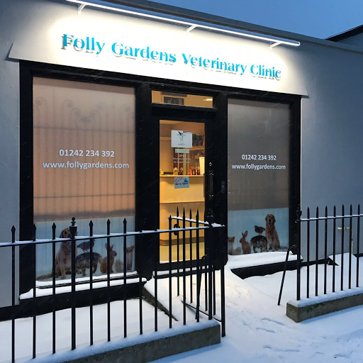 Folly Gardens Veterinary Clinic - Cheltenham logo