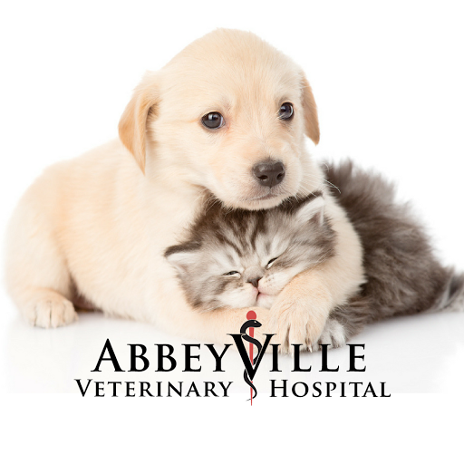 Abbeyville Veterinary Clinic Blarney logo