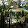jazzaa O jazzaa O's profile photo