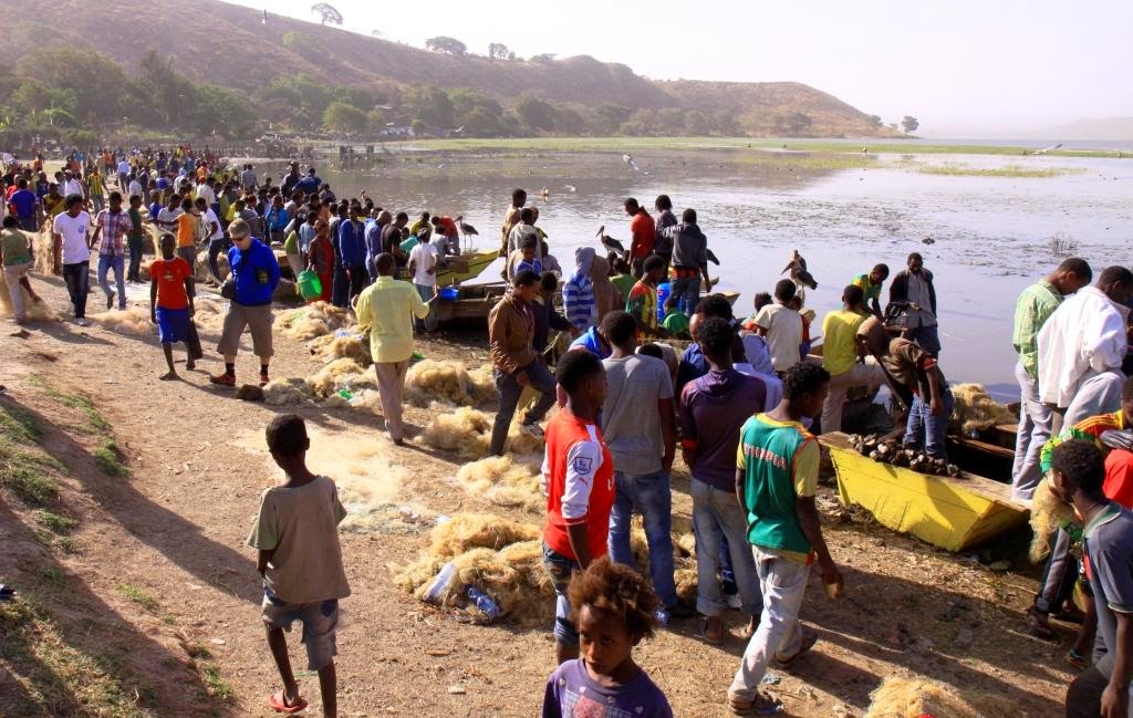 Fish market in Awassa, Ethiopia Fish market in Awassa, Ethiopia