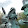 Richard Allen Richard Allen's profile photo