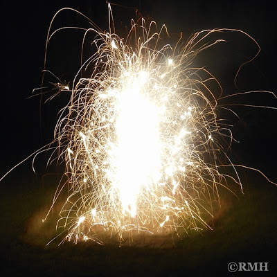 © Copyright 2012 By RMH-Roxanne Handelong