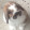 Rose Stone Rose Stone's profile photo