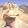 Sydney Savage Sydney Savage's profile photo