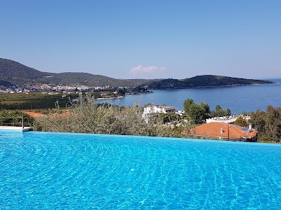 Photos of hotel yialasi