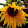 Debbie Nowicki Debbie Nowicki's profile photo