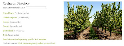 Orchards.JPG