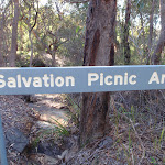 Salvation Loop picnic area (154978)