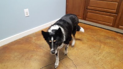 Photos of Milliken Animal Clinic